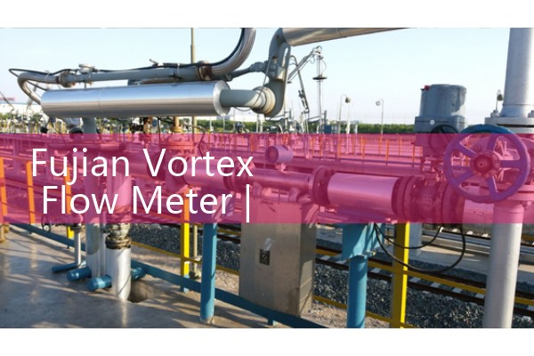 Fujian Vortex Flow Meter